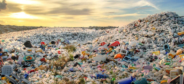 Résolution 2019 : moins de déchets!